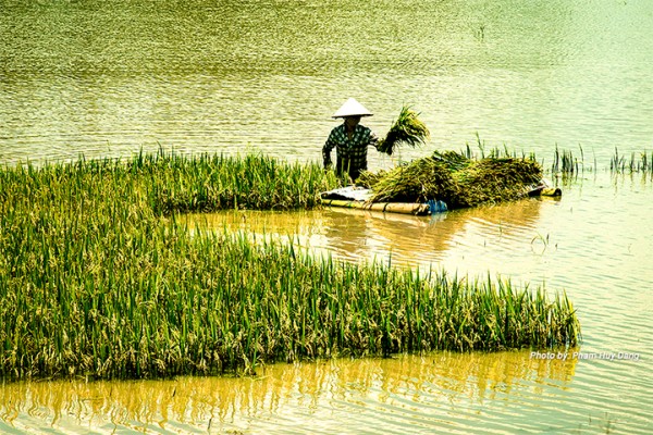 New AJAD paper urges stronger ASEAN food resilience amid polycrisis