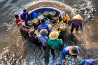 SEARCA Photo Contest 2025 winners capture journeys "Beyond the Harvest"