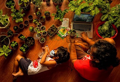 SEARCA Photo Contest winners capture scenes of healthy agriculture and food