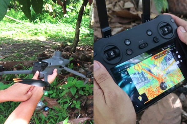 Satellites, sensors, and drones power alert system for cacao health