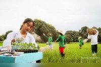 SEARCA and VSU deliver five-year roadmap to transform Philippine agriculture higher education