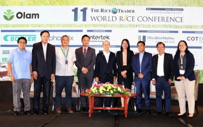 Agri experts share varying perspectives on the Philippine Rice Tariffication Law during SEARCA-led WRC parallel session