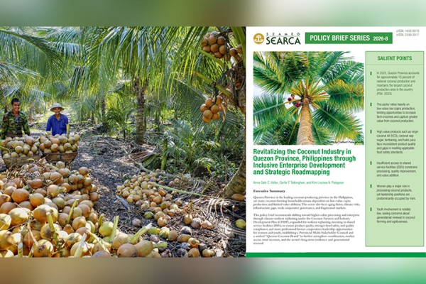 SEARCA policy brief charts path to revitalize Quezon Province's coconut industry