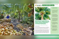 SEARCA policy brief charts path to revitalize Quezon Province's coconut industry