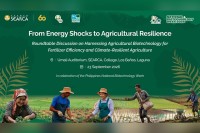 SEARCA roundtable to explore agricultural biotechnology, fertilizer efficiency, and climate-resilient agriculture
