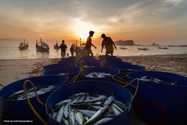Why illegal fishing threatens food security and coastal livelihoods in Southeast Asia