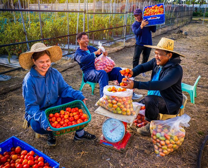 How farmer cooperatives can help smallholders become climate-smart