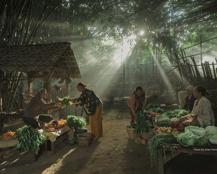 Southeast Asia Must Invest Where Food Systems Begin