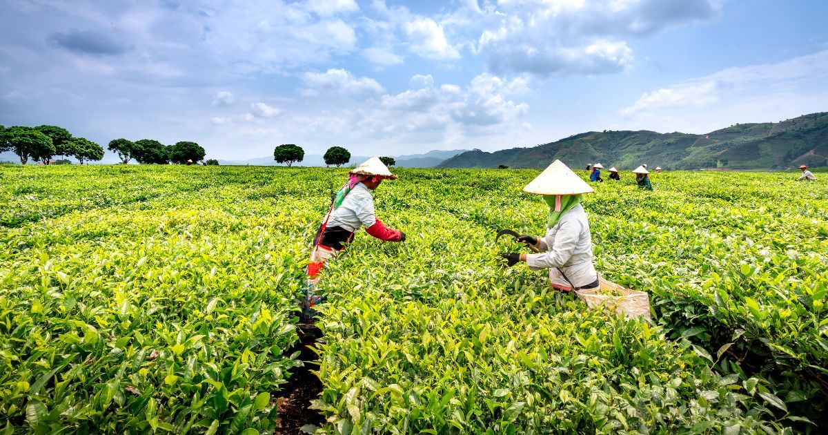 Agricultural and Rural Development (ARD) Conference 2026