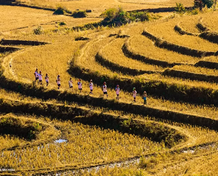 Why tropical agriculture matters for Southeast Asia's climate future
