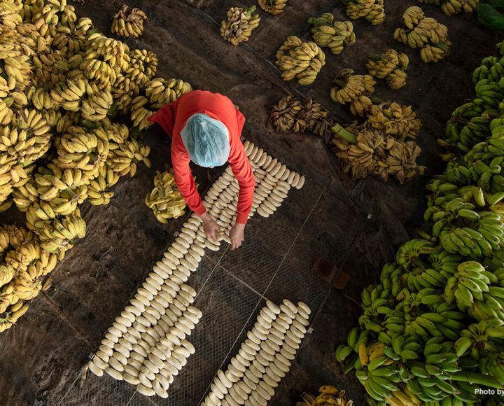 The Food We Grow But Never Eat