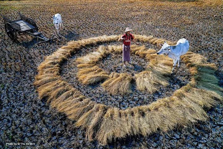 From Climate Risk to Climate Solution in Southeast Asian Agriculture